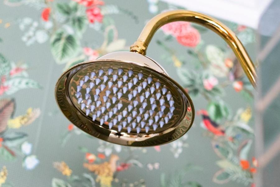 Hotellerie Het Wapen Van Athlone 德斯泰赫 外观 照片